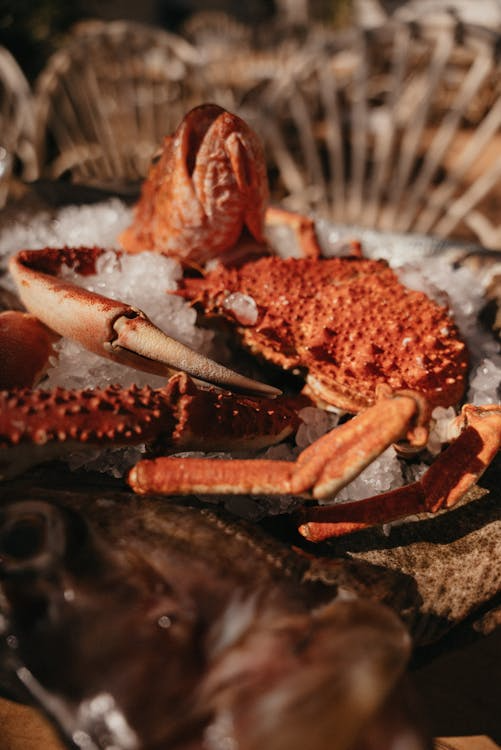 Seafood & white